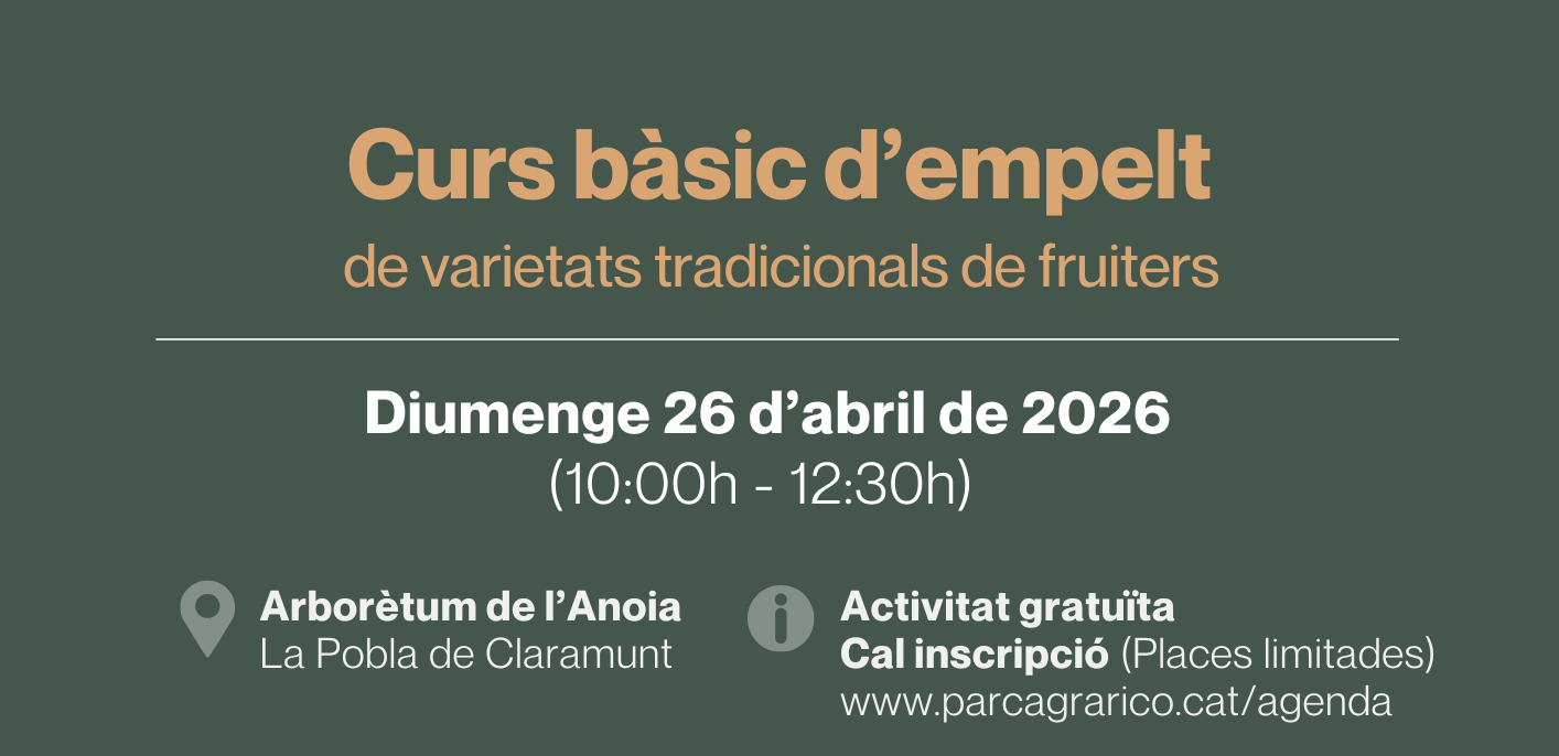 Curs empelts 26A paco