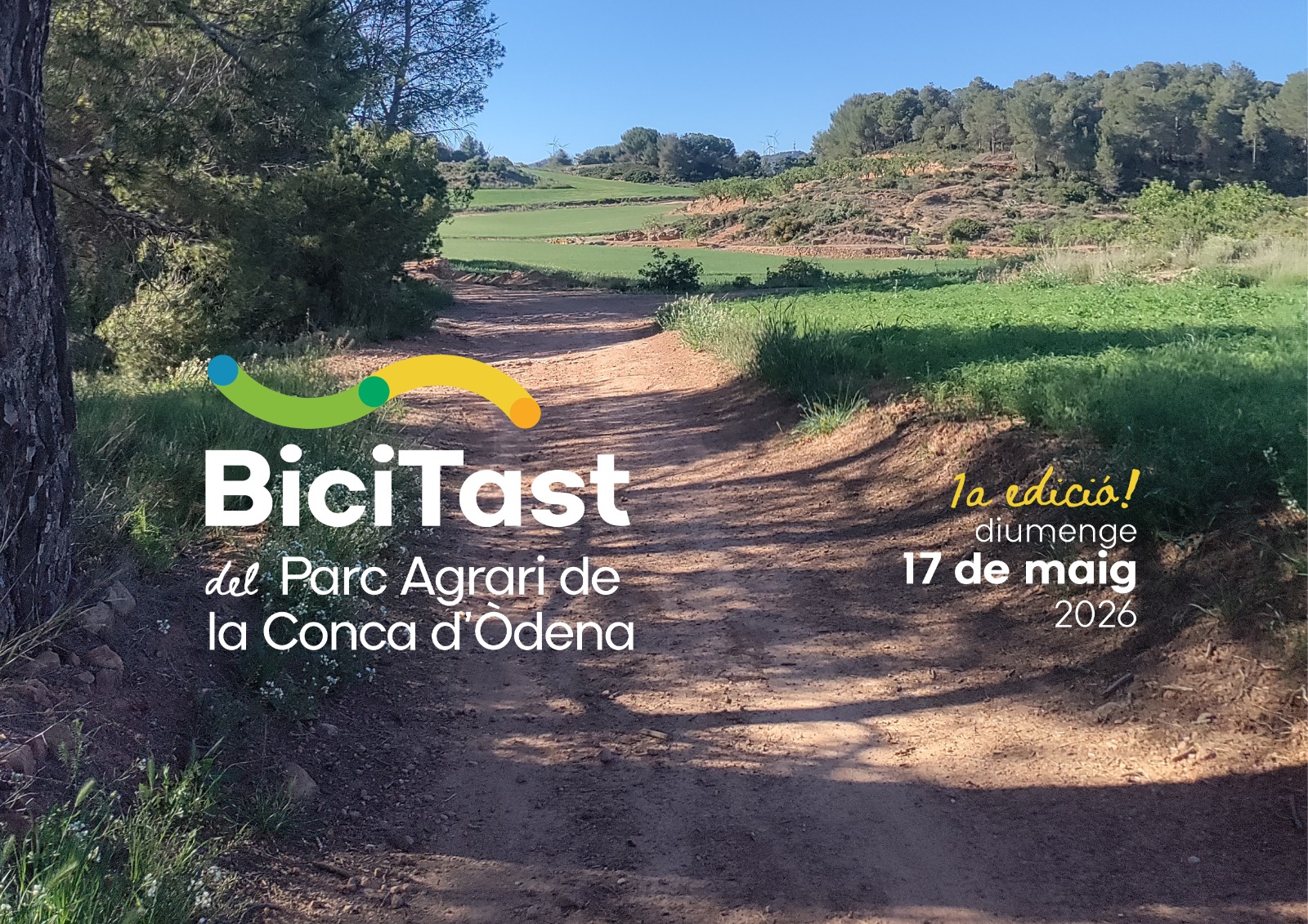 WhatsApp Image 2026-04-17 at 12.04.23